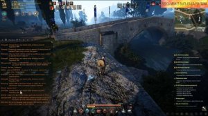 Настройки чата в Black Desert - Как писать в чат БДО