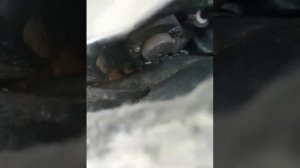 Приора с панасоник не работает вентилятор печки возможные причины