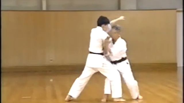 Вадо-рю каратэ.Wado ryu Karate.Kihon kumite #8 смотреть онлайн