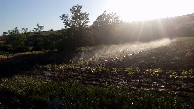 Полив огорода(1)