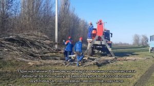 Восстановление свидетельства о расторжении брака после его утери