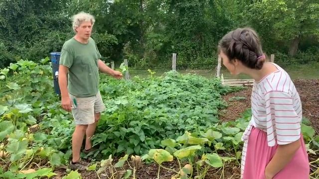 Back to Eden Gardening Works! Learn How to Harvest Cantaloupe, Honeydew, and Watermelon смотреть онлайн