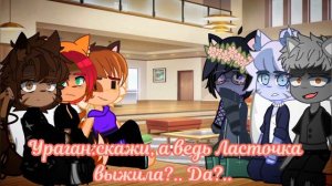 РЕАКЦИЯ ИЗБРАННИКОВ НА МЕСТО-ГДЕ-ТОНЕТ-СОЛНЦЕ 🙀/КОТЫ-ВОИТЕЛИ/7 ЧАСТЬ!