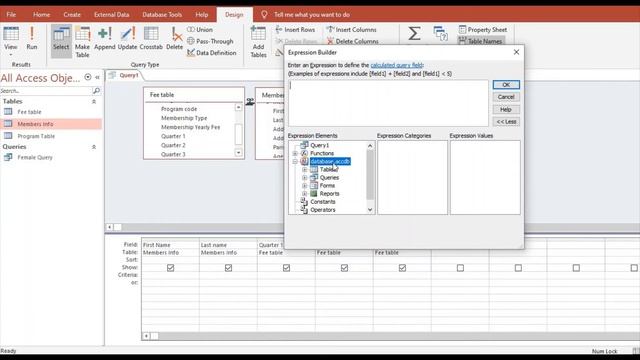 Queries Part 2: Using the Expression Builder BUILD Feature