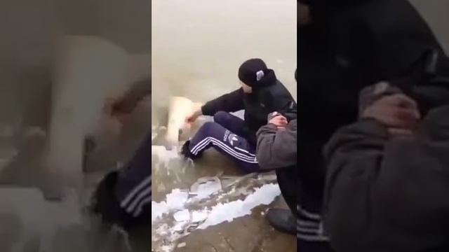 Мужики рыбу ловят! - триллер )) смотреть онлайн