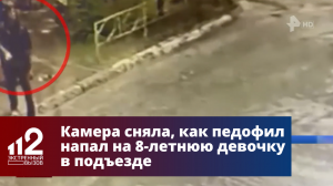 Педофил попытался изнасиловать 8-летнюю девочку в Воронеже