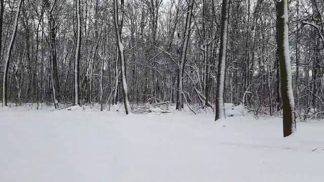 Вставай на лыжи. Моква. Лыжная трасса. 20.01.2018. смотреть онлайн