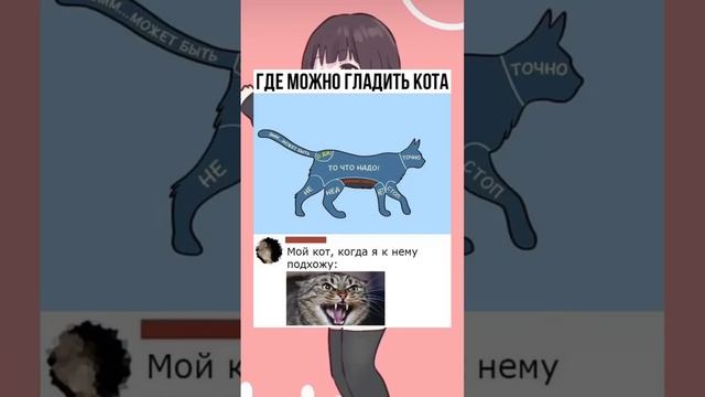 #short #shorts #мем #мемы #прикол #юмор #funny (20) смотреть онлайн