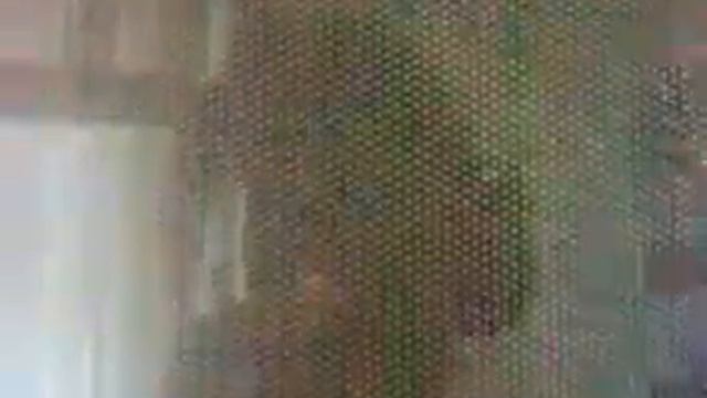 Сигарета в микроволновке смотреть онлайн