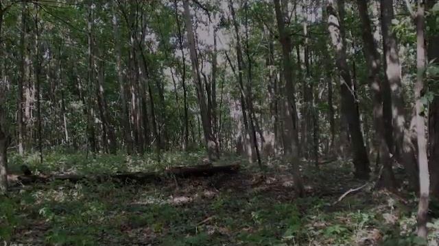нагн 1кг смотреть онлайн