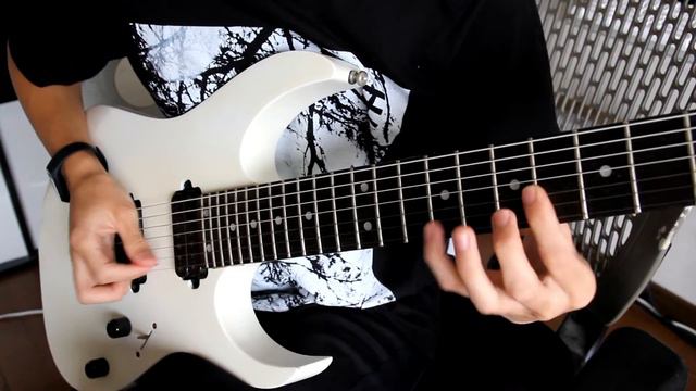【Intervals】Fable【Guitar Cover】 смотреть онлайн