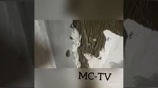 Мастер класс укладки керамической плитки смотреть онлайн
