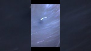 Находка в коллекторе Весты...