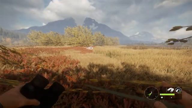 TheHunter Call Of The Wild  ЧУЧЕЛА  ЖИВОТНЫХ # 150