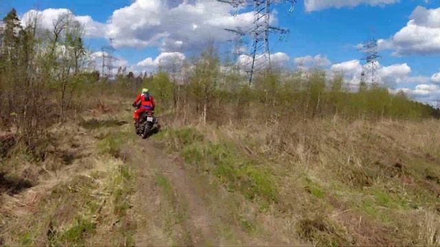 KTM 1290 Adventure R in forest. Слон в лесу. смотреть онлайн