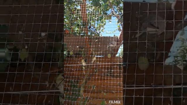 парк животных ДИПРИЗ) смотреть онлайн