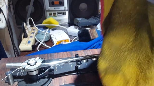 Дом и Реставрация