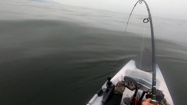 pesca en kayak tablón de 9 2 kg смотреть онлайн