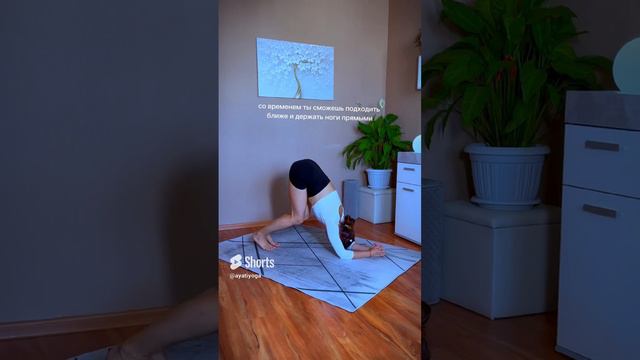 🐬 Твоя Поза Дельфина! смотреть онлайн