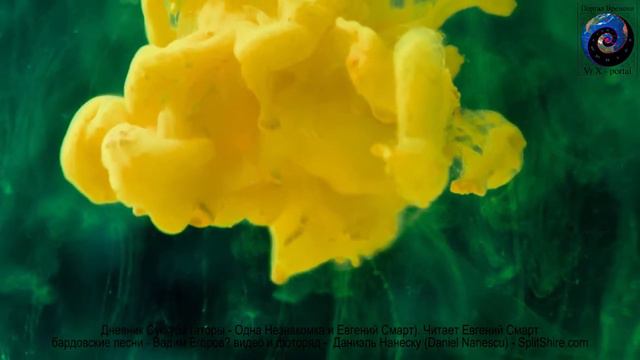 Дневник Суккуба 01 - Седовласка смотреть онлайн