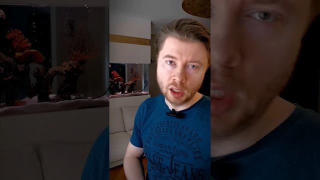 Какую фугу для плитки выбрать: цементную или эпоксидную?