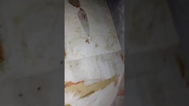 Двух уровневый подвесной потолок своими руками часть 2 смотреть онлайн
