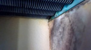 Потекший теплообменник. Котел Ferroli domiproject C 24 D