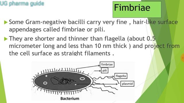 Pharmaceutical microbiology | unit-1 | Lecture note-3 | B.pharma 3rd semester | смотреть онлайн