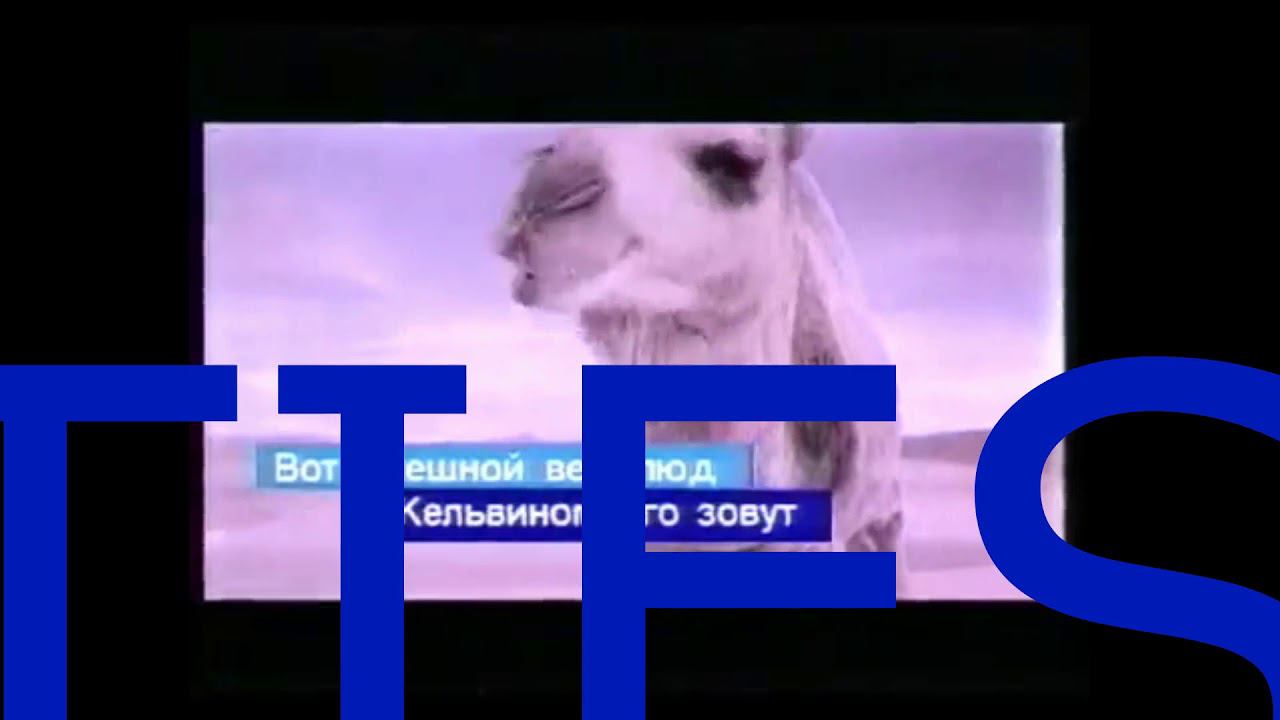 Реклама шоколадного батончика Picnic(90-х) смотреть онлайн