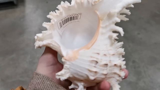 Магазин Цветочный базар. Мои покупки. смотреть онлайн