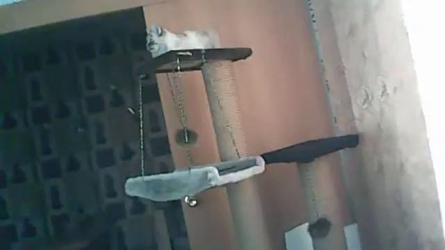 Видео C веб-камеры от 30 января 2015 г., 05:18 (UTC)