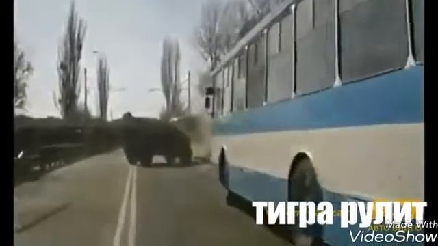 ТИГР против ТРОЛЛЕЙБУСА смотреть онлайн