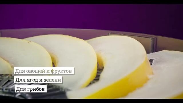 Электросушилка GARLYN D-08 | 8 уровней для идеальной сушки | Для овощей и фруктов и не только смотреть онлайн