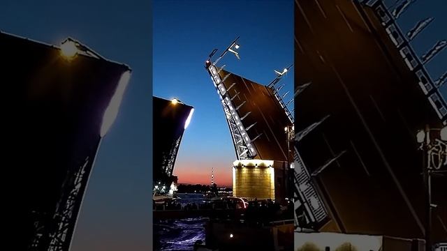 Белые ночи. Разводим мосты Петербурга смотреть онлайн