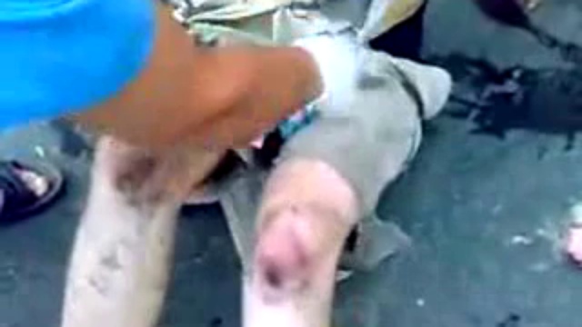 Роды на улице смотреть онлайн