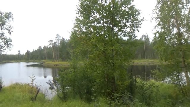 ХОДОВАЯ ОХОТА В ТАЙГЕ / ОХОТА С ЛАЙКОЙ / БОРОВАЯ И ВОДОПЛАВАЮЩАЯ ДИЧЬ / ТЕТЕРЕВ, УТКИ / ИЗБА / БЫТ смотреть онлайн