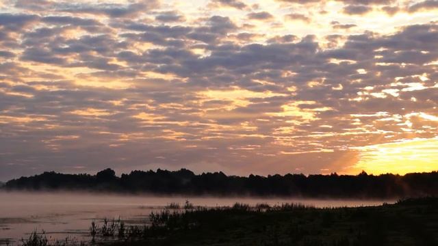 Рязанская обл шиловский р -он оз ЧЕРНЫШИХА смотреть онлайн