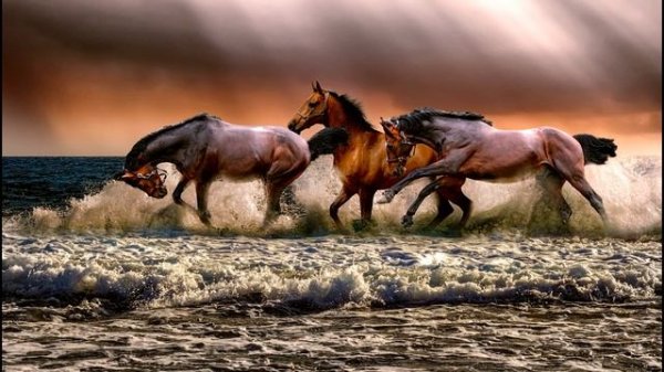 ТОНКОЕ ИСКУССТВО ПОФИГИЗМА.