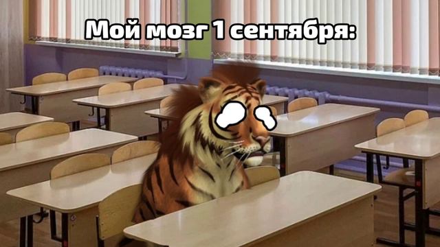 Мой мозг 1 сентября :_) смотреть онлайн