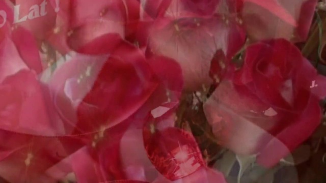 С ДНЕМ РОЖДЕНИЯ! Привет из Ростова!(14.12.2014) смотреть онлайн