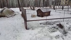 Санаторий ИНГАЛА в Заводоуковске! Тюменская область.Обзорная экскурсия по санаторию.