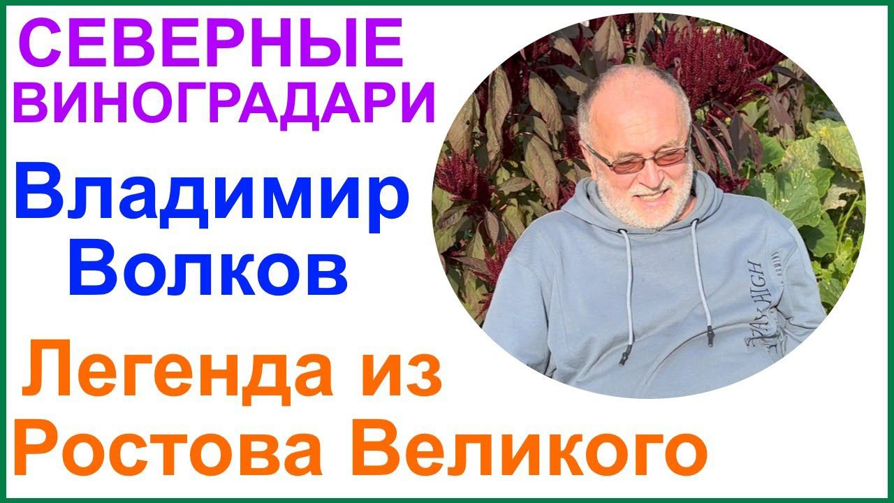 В гостях у Владимира Волкова. Ответы на вопросы и немного о новинках. смотреть онлайн