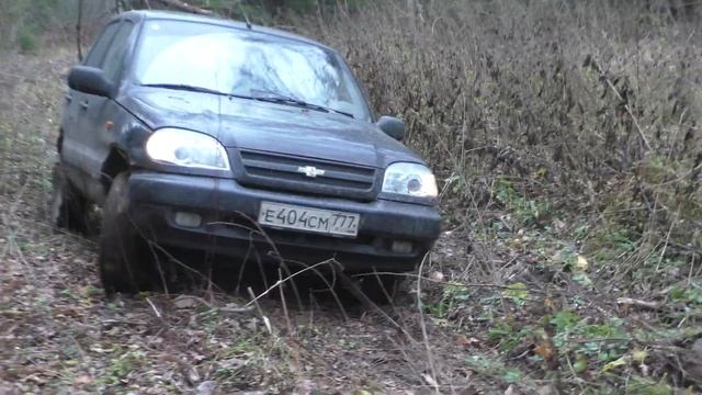 ИЩЕМ ДОРОГИ В КАЛУЖСКИХ ЛЕСАХ смотреть онлайн