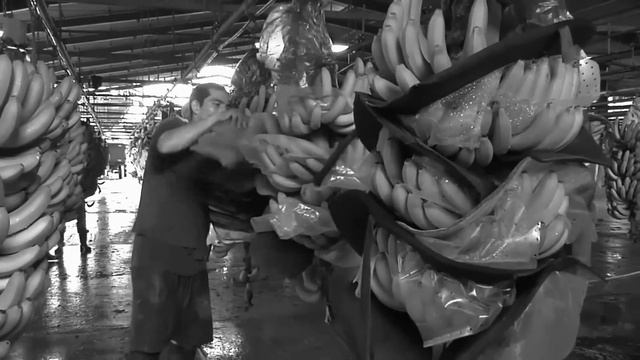 Consumer Rights Need to Catch Up | Cold Take смотреть онлайн