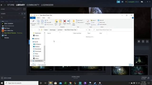 How to Enable/Install Easy Anti Cheat for New World :) смотреть онлайн