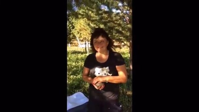 Отзыв о Дачном поселке "Солнечный берег" смотреть онлайн