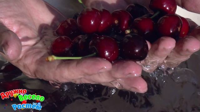 ЯГОДЫ + УЧИМ ЯГОДЫ + Видео про Ягоды + Карточки Домана + Обучающее видео детям смотреть онлайн