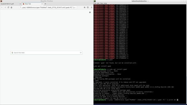 Retrieve PubMed identifiers using XPath and xmllint [2/7] смотреть онлайн