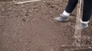 ОГОРОД  ТРЕБУЕТ  ПРИНИМАТЬ ПОЗУ , КАК ПРАВИЛЬНО  РАБОТАТЬ С САДОВЫМИ ГРАБЛЯМИ ,