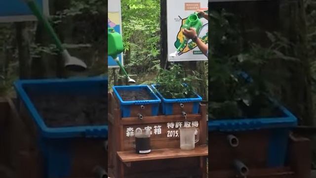 Как влияет корневая система растений на вымывание грунта смотреть онлайн